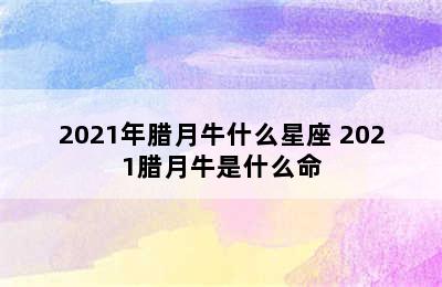 2021年腊月牛什么星座 2021腊月牛是什么命